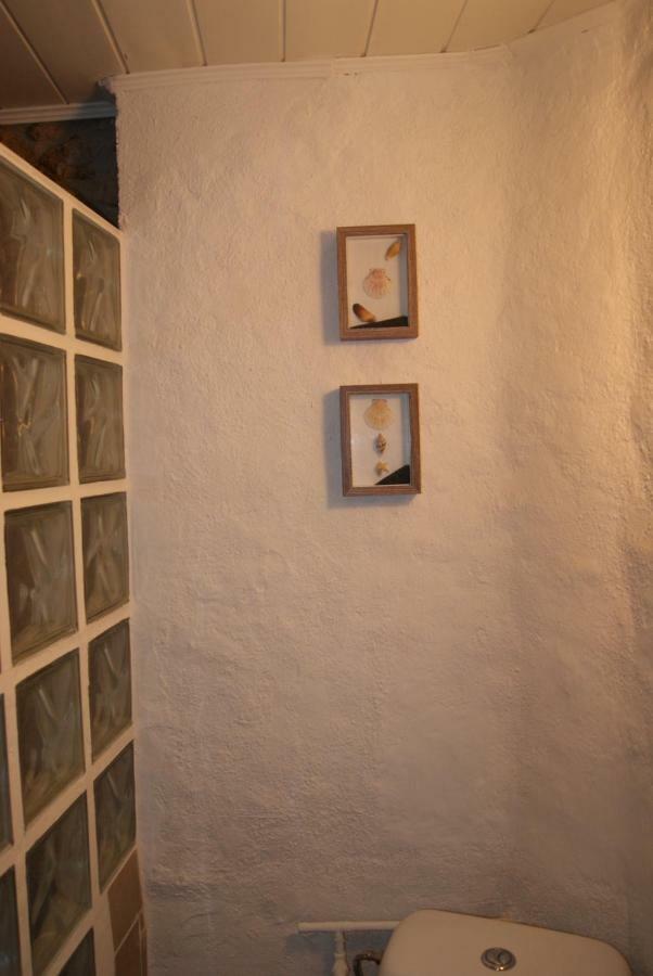 Apartament Codina 40 Daire Torroella de Montgrí Dış mekan fotoğraf